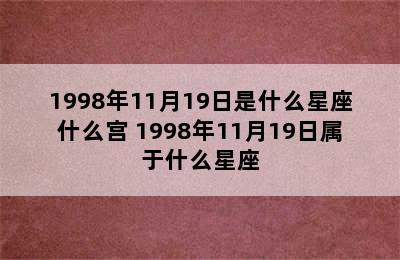 1998年11月19日是什么星座什么宫 1998年11月19日属于什么星座